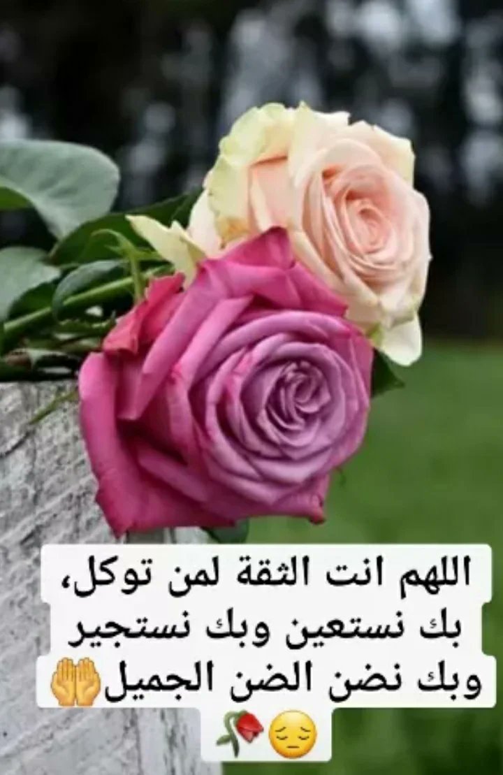 امين ي رب..استودعتك ما في صدري وانت تعلمه ولا أعلمه يا حي يا قيوم برحمتك أستغيث أصلح لي شأني كله ولا تكلني إلى نفسي طرفة عين ي رب العالمين 🤲