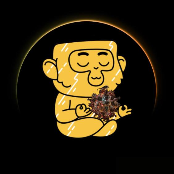 Thestarslab tweet media