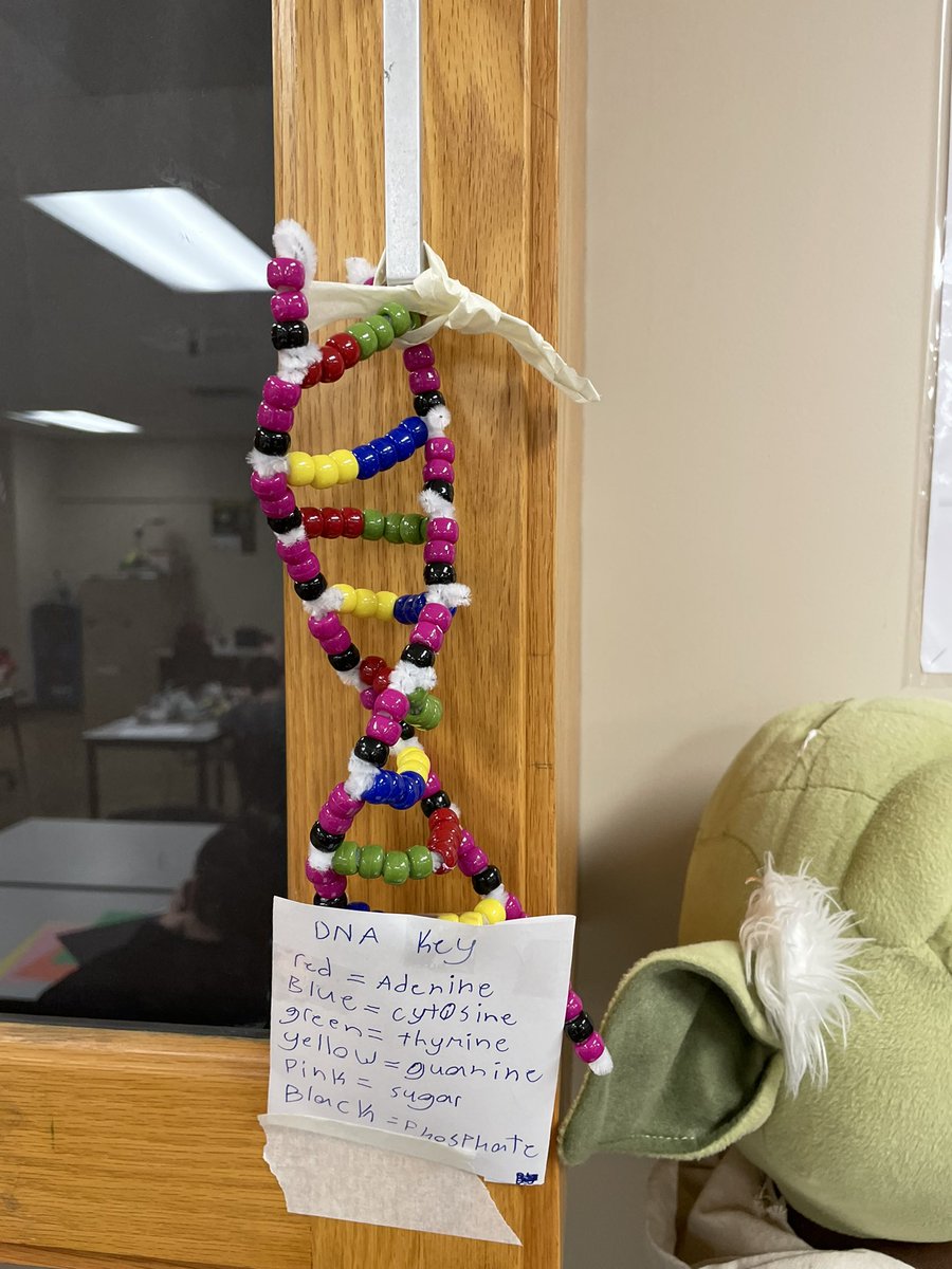 StormMrC's tweet photo. Quiet please, we’re testing 😀🤪
DNA assessment model making and reflection. #stormscience https://t.co/qQ3qpW7EyM