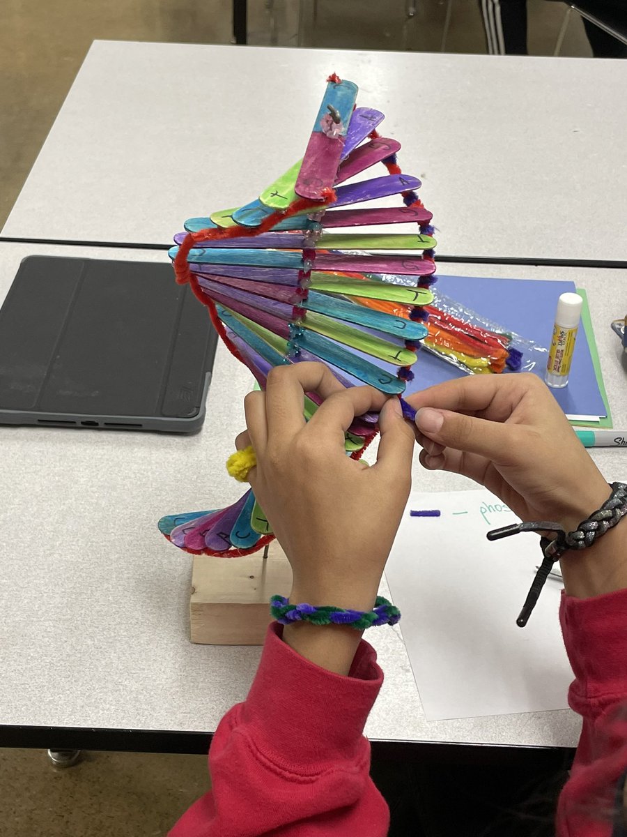 StormMrC's tweet photo. Quiet please, we’re testing 😀🤪
DNA assessment model making and reflection. #stormscience https://t.co/qQ3qpW7EyM