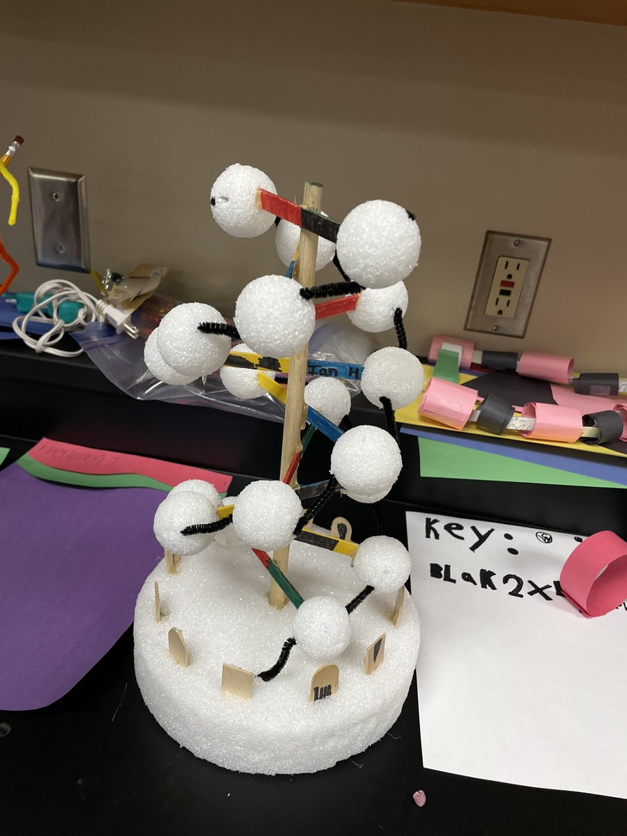 StormMrC's tweet photo. Quiet please, we’re testing 😀🤪
DNA assessment model making and reflection. #stormscience https://t.co/qQ3qpW7EyM