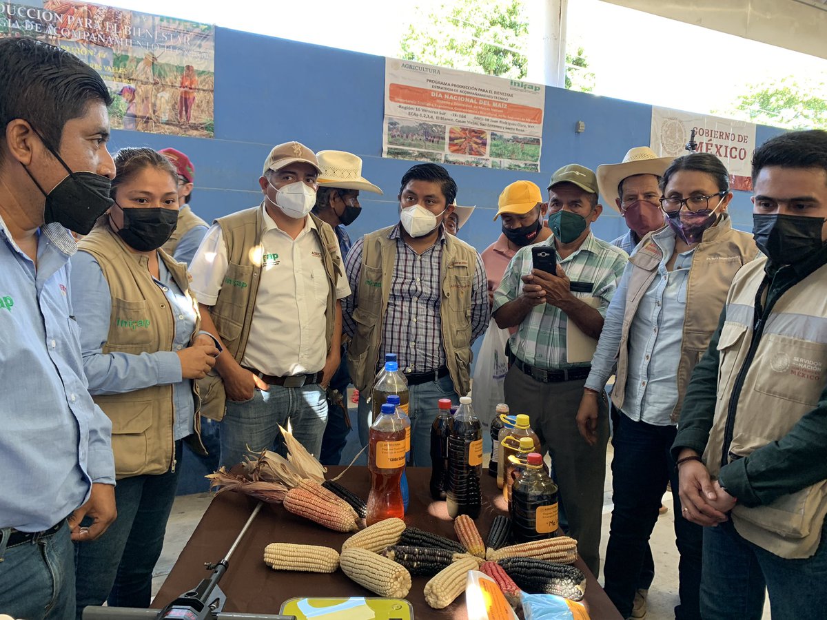 r16_sader's tweet photo. Demostración de productos agroecológicos, maíces nativos y herramientas de trabajo implementados en la #EstrategiaDeAcompañamientoTécnico del Programa #ProducciónParaElBienestar , en Cd. Isla, Veracruz.
Seguimos implementando la #TransiciónAgroecológica 
@victor_suarez @inifap https://t.co/WEUuVQu61Z