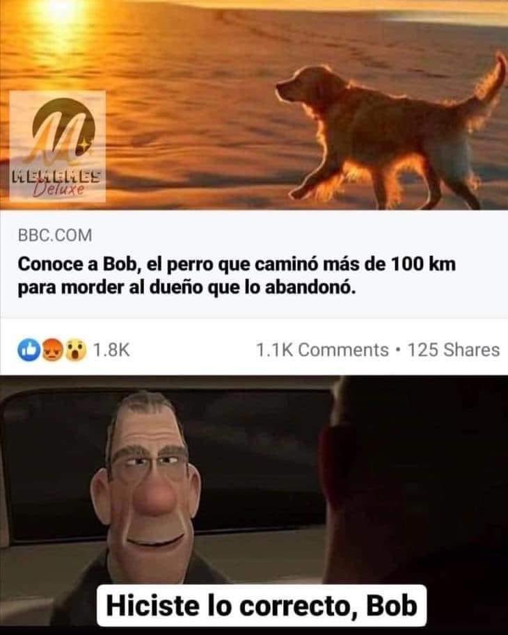 Hiciste lo correcto, Bob.