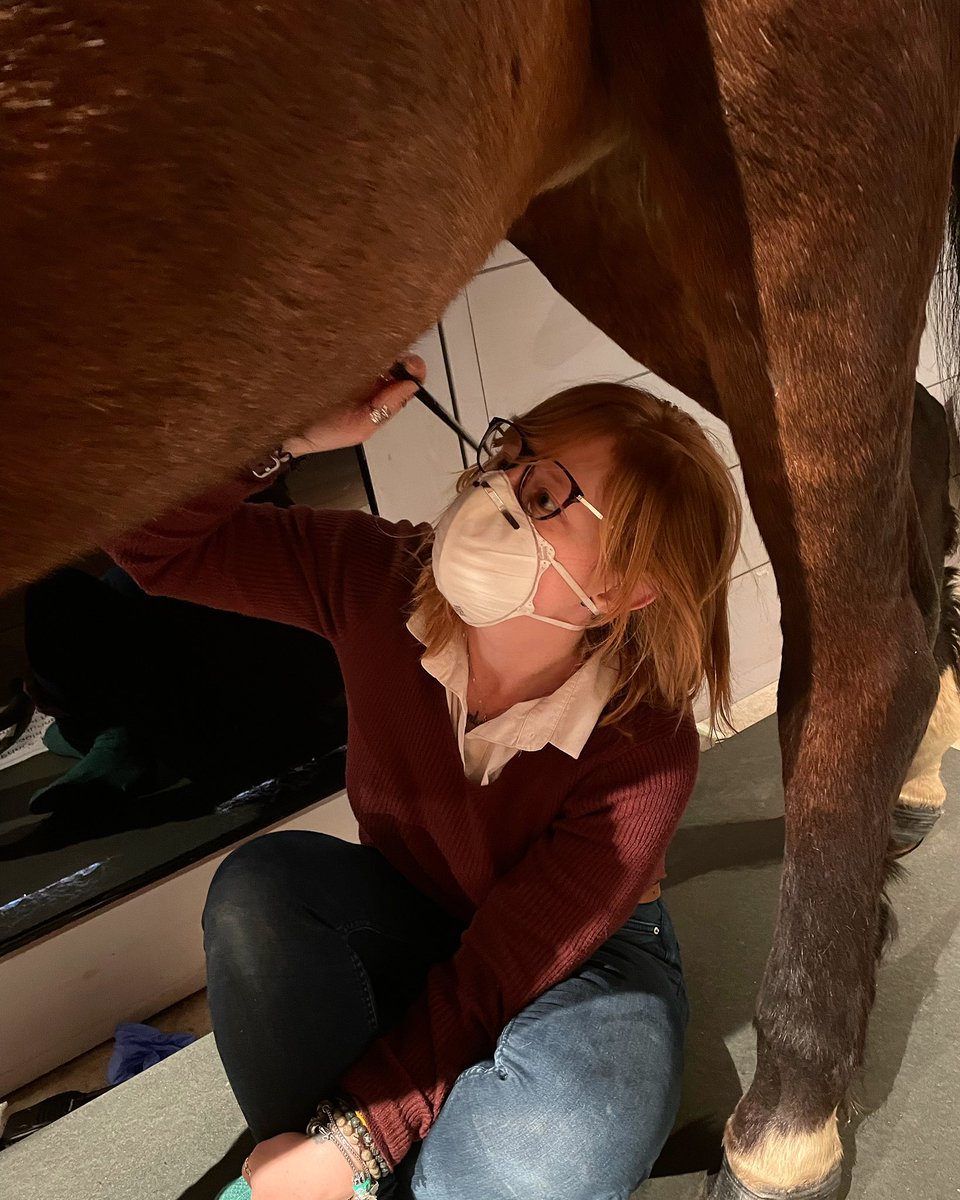 Natasha Paine MA (@painenatasha) on Twitter photo Focusing on the positives - getting to know one of my favourite objects a little better! 😳🐴
<a href="/SomersetRLM/">Somerset Rural Life Museum</a> #srlm #somersetrurallifemuseum #Somerset #somersetmuseums #museum #museumlife #museumgeek #LoveWhereYouWork Focusing on the positives - getting to know one of my favourite objects a little better! 😳🐴
<a href="/SomersetRLM/">Somerset Rural Life Museum</a> #srlm #somersetrurallifemuseum #Somerset #somersetmuseums #museum #museumlife #museumgeek #LoveWhereYouWork