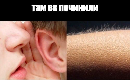 ВКонтакте tweet media