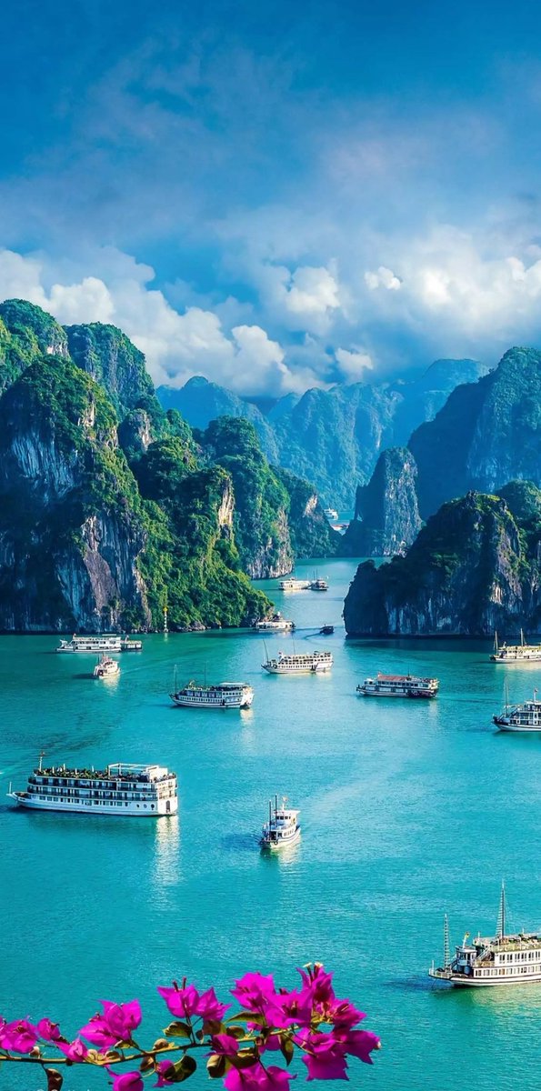 Skmurari's tweet photo. #NatureBeauty
#Ha_long bay of #Vietnam : Tourists' Paradise https://t.co/yQIU7sG1Hr