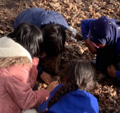 easton_academy's tweet photo. Exploring, investigating, discovering. A snapshot of science at Easton this week @DBAT_UK  #primary #STEM https://t.co/ex2VjQkqQj