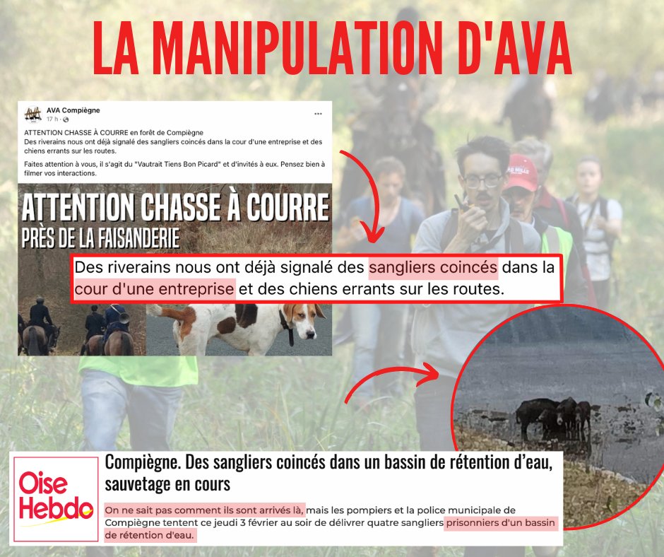 ChasseDva's tweet photo. AVA ne loupe jamais une occasion de mentir en accusant la #ChasseÀCourre et relayer l'info aux médias.🤥

Hier, quatre sangliers se retrouvent dans un bassin de rétention d'eau à Compiègne. Et devinez ce qu'on lit sur la page d'AVA dix minutes plus tard ! 🕵🏻 https://t.co/DAYr4hxu9L