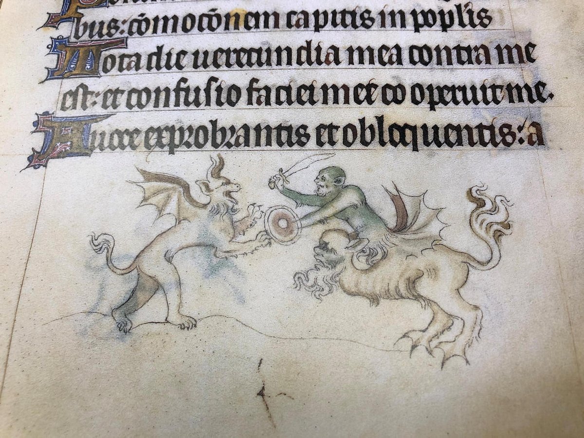 Wir sind gespannt auf den wissenschaftlichen Kommentar zum Queen-Mary-Psalter, der genauer die Illustrationen - hier die Drachen - interpretieren wird.