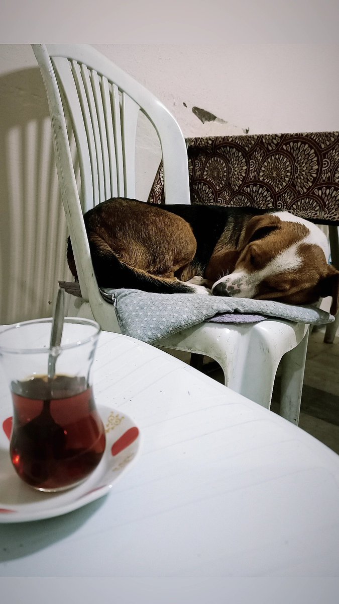 Dostoyevski romanında yaşıyorum..
1860'lar Rusya - Saint Petersburg