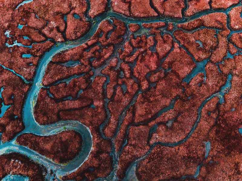 CircLocal's tweet image. Get the latest updates on Circlocal
Newsletter January 2021 - mailchi.mp/a12ca37f7338/n…