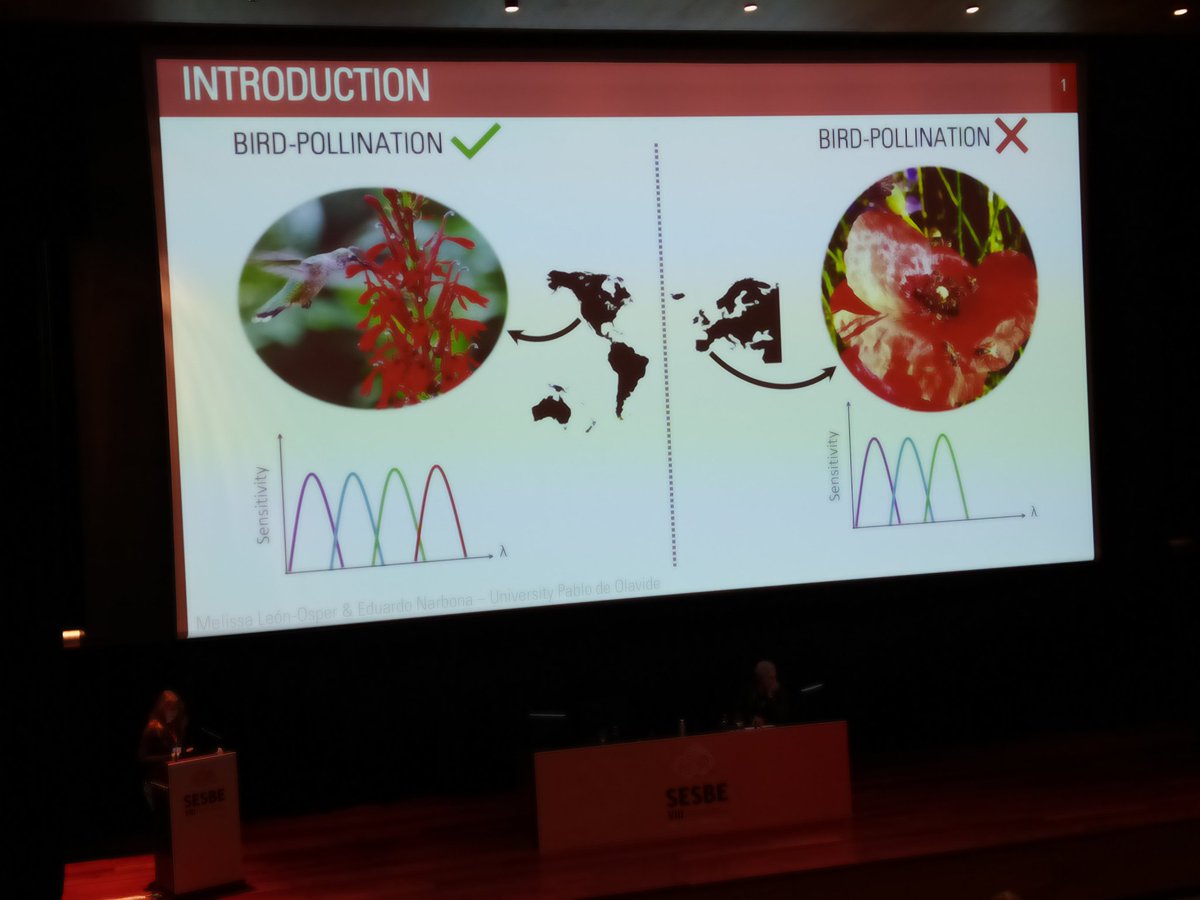 Talk by  Melissa León-Osper "Do visual systems of pollinators drive colour evolution of Mediterranean Basin red-flowered species?", from Universidad Pablo Olavide