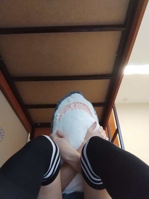1 pic. Love my sharky...

#Femboy #Legs #Plush #Cute #Gay https://t.co/ioy4S3mRe5