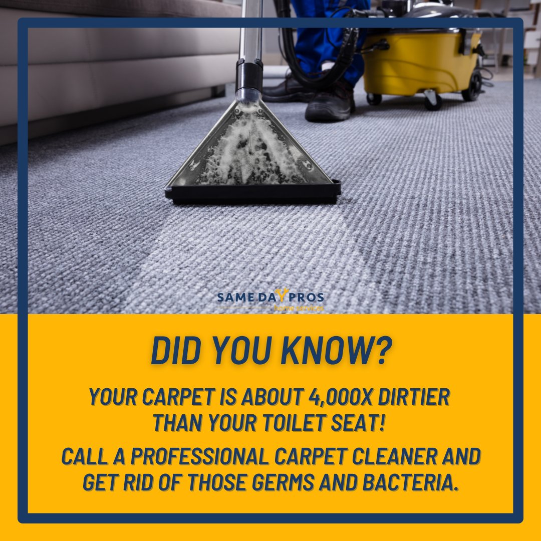 Still not convinced that you need a professional carpet cleaner? Read our compelling reasons why you should - t.ly/DjBx

#carpetcleaning #carpetcleaningservice #cleanhouse #samedaypros