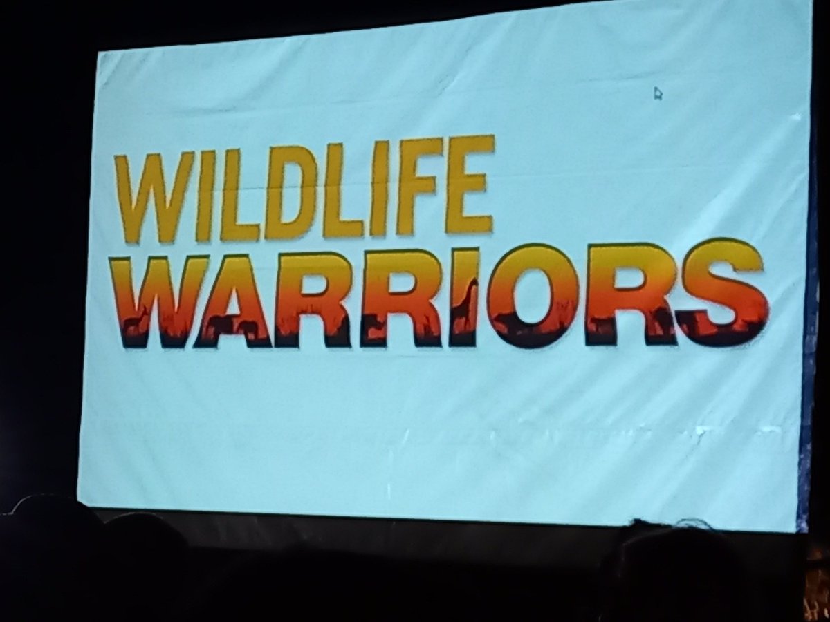 Action for Cheetahs in Kenya tweet media