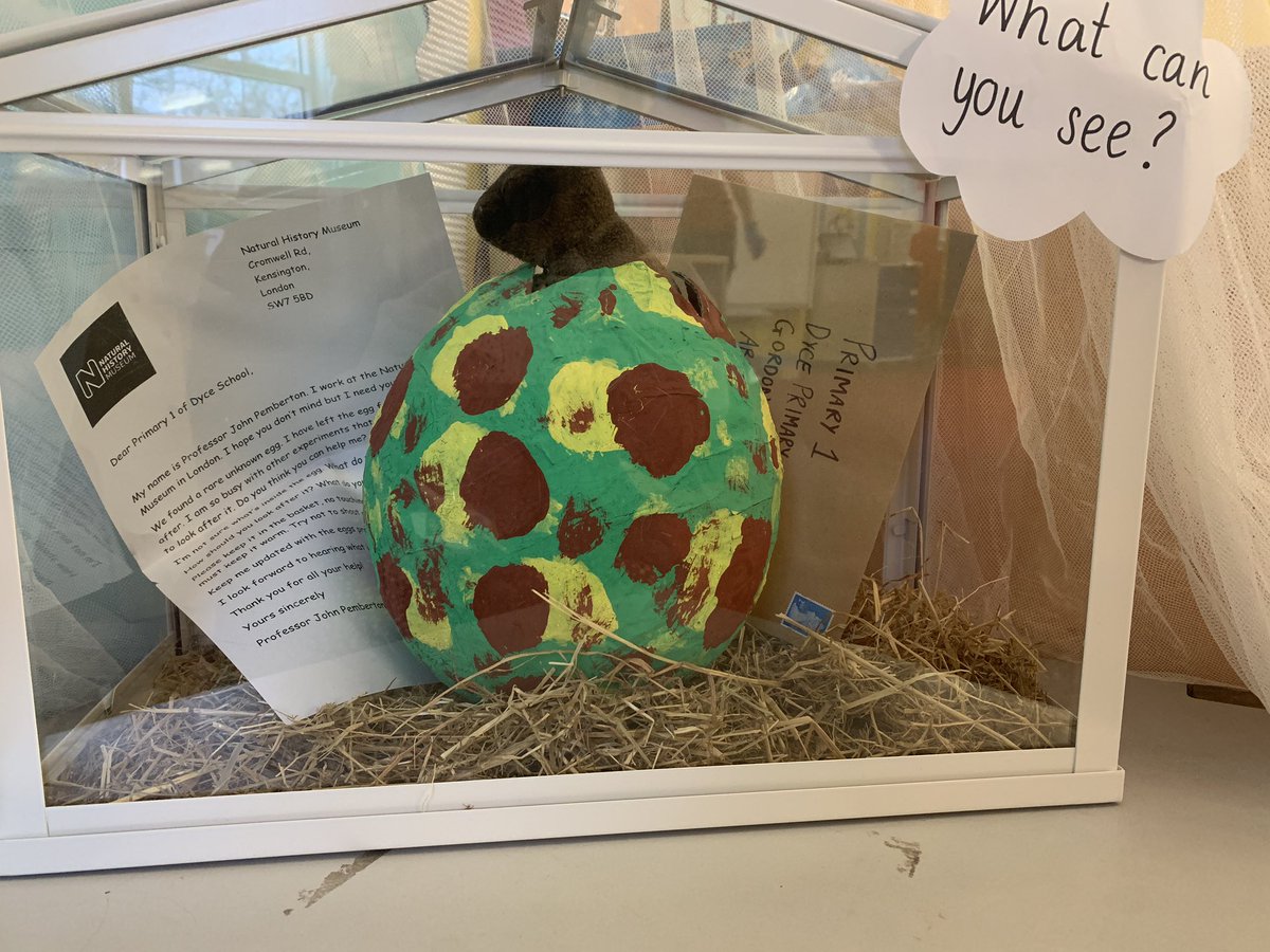 Looks like the egg is hatching! P1 think it’s a baby dinosaur 👀🦖 #WhatsUnderOurFeet #InvestigationStation #PrimaryOne #Curiosity @MissSarahLaw <a href="/MissTait21/">Miss Tait</a> <a href="/MrsRose67097001/">Mrs Rose</a> <a href="/MissBain_EYP/">𝘏𝘦𝘢𝘵𝘩𝘦𝘳 𝘉𝘢𝘪𝘯</a> @DycePrimary
