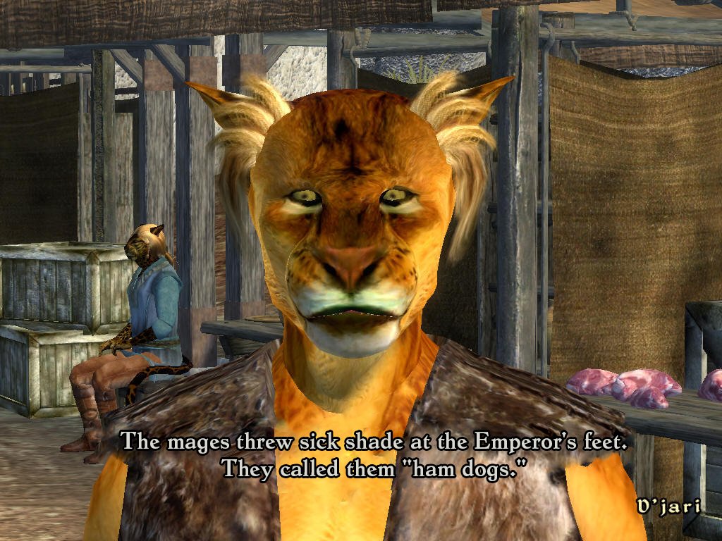 botnikstudios's tweet photo. There simply aren't enough guys who say things to you in video games. So we used to predictive text to create new dialogue for Elder Scrolls: Oblivion. https://t.co/4jSZFcuFQd