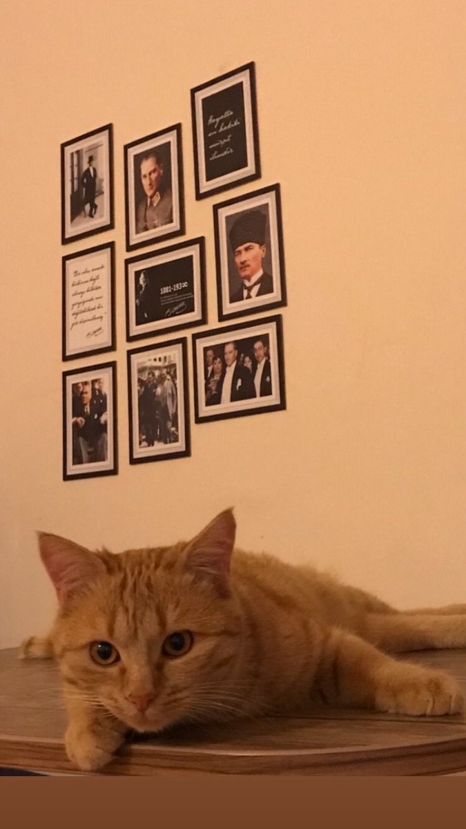 #Samsun #OnurAnıtı 
Nöbetteyiz 😼