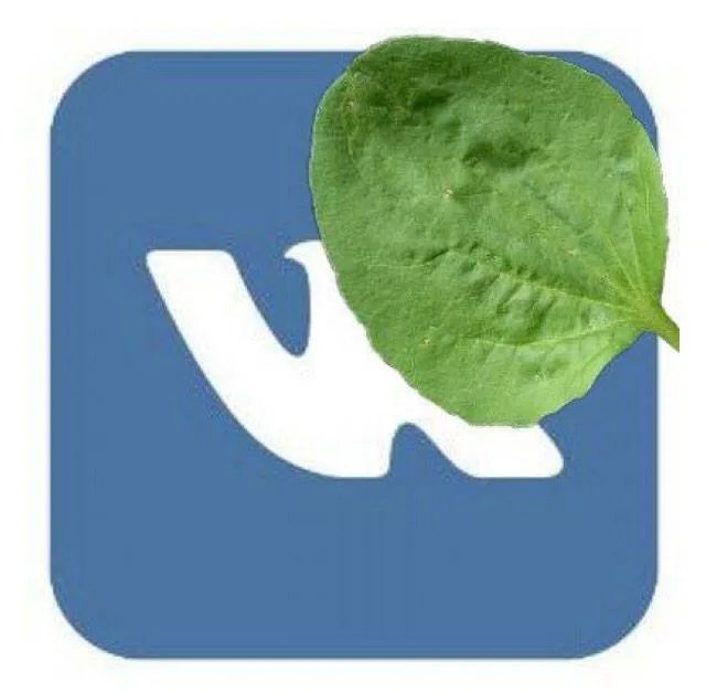 Pctrl_L1qled's tweet image. Я хочу просто полистать ленту
#вкживи