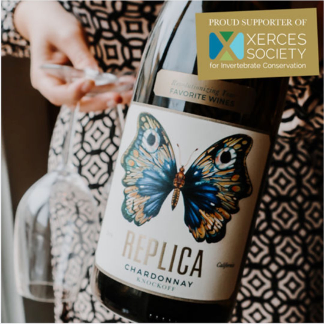 Replica Wine tweet media
