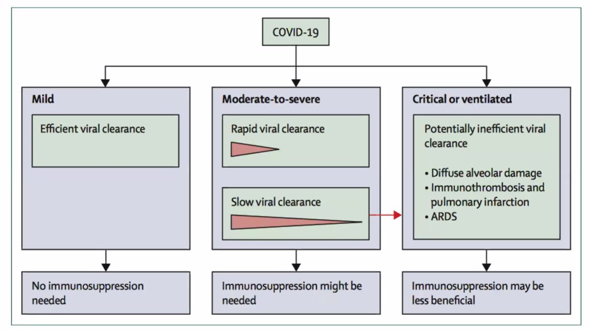 RCHPediatrics tweet media