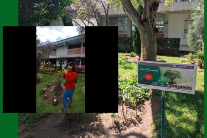 SoyValor's tweet photo. Cómo se puede cumplir con los ODS desde casa (@Earthgonomic y @conaleptianguis) 👏🏠

Más información aquí 👉 https://t.co/QbJplqx3lo https://t.co/ElPPpZrXoA