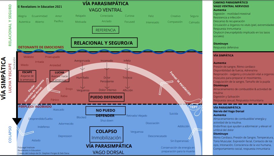 desautels_phd's tweet photo. We have the Spanish translation of the Polyvagal Chart for our students and staff! It will be up on the website soon! When we begin to track our nervous system states, acknowledging where we are in our state responses, this can be  calming to the nervous system! https://t.co/HiMrbYYnEd