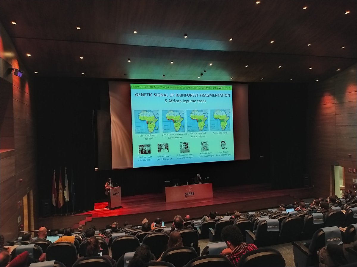Talk by <a href="/pineiro_rosalia/">Rosalía Piñeiro</a>, "Genetic signal of rainforest fragmentation in African trees", from <a href="/UDC_gal/">Universidade da Coruña</a> Nice study!!