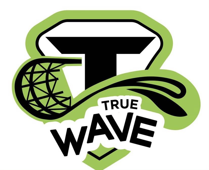 Michigan Wave tweet media