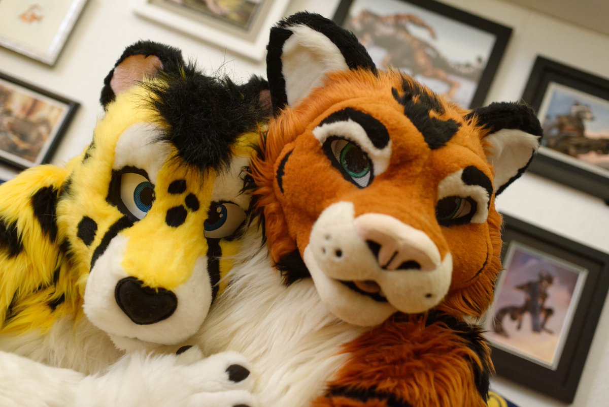 I found a <a href="/chitatz/">Chitatz</a> for #FursuitFriday snuggles!

Have a great weekend everyone!

🧵<a href="/AlphaDogsStudio/">Alpha Dogs</a> <a href="/SchneeCreations/">SchneepardiCreations 🔜 NFC</a> 
📷 @joejoe4games