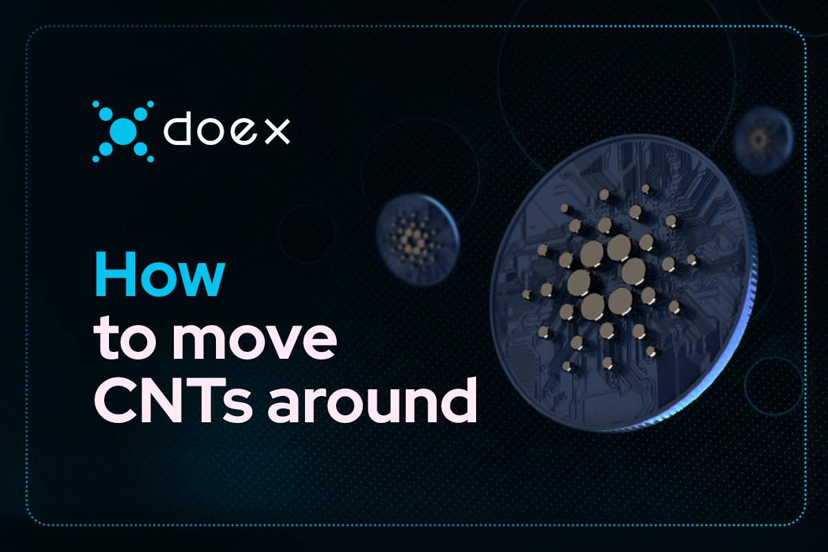 Our latest article is out now 👍

How to move #Cardano tokens around?

🔗doex.medium.com/moving-cnts-ar…

#DOEX #Ada #DeFi