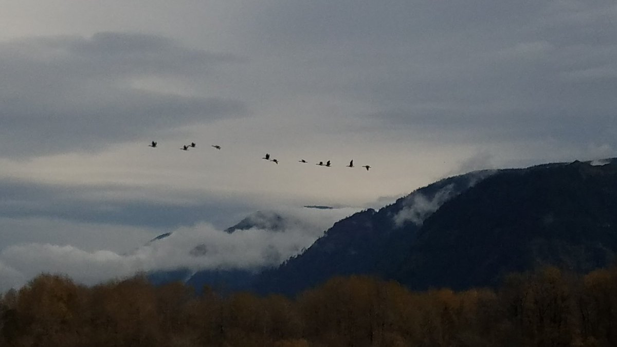 Forest Service NW tweet media