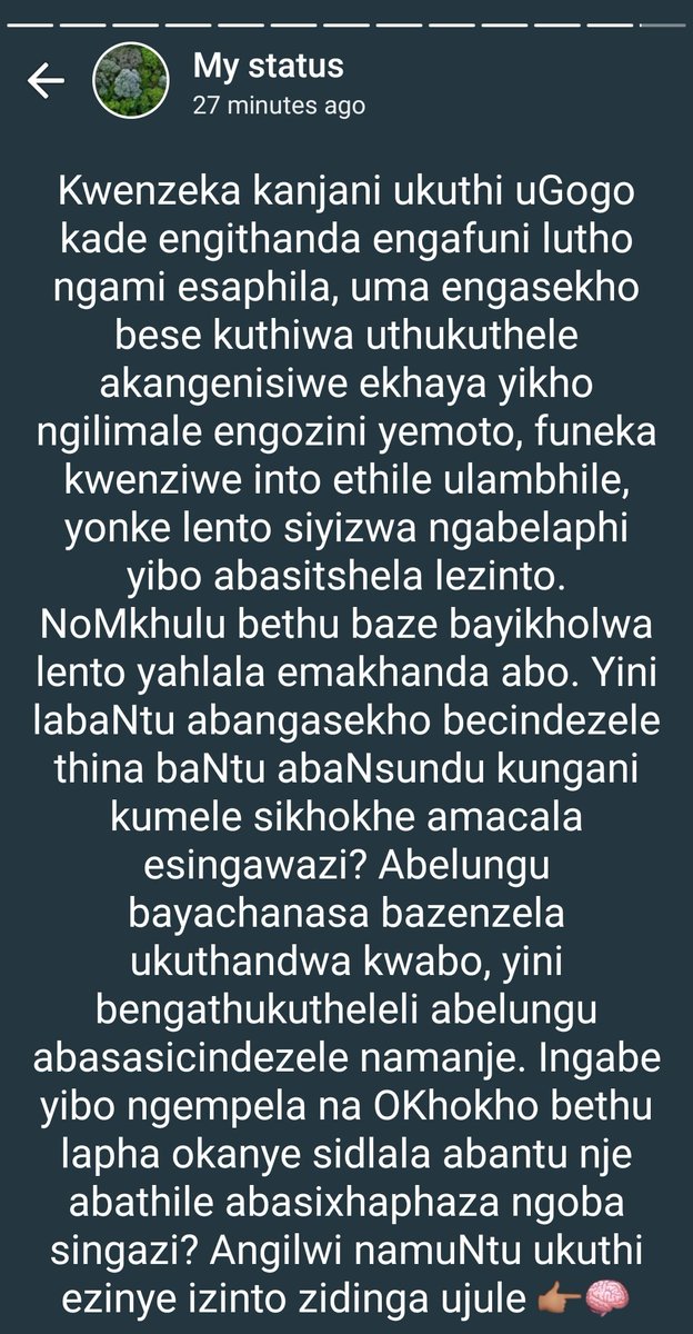 Angilwi ukuthi iyangihlupha lento.
