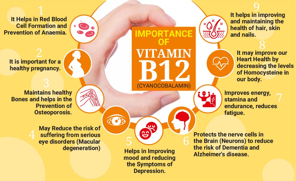 Healthonics's tweet image. #VitaminB12 is an essential vitamin that belongs vitamin B complex. It is not only crucial for the healthy functioning of our Red blood cells (#RBC) and nerves, but also for strong #immunity, good heart health, etc. Know more about it: healthonics.healthcare/vitamin-b-12/