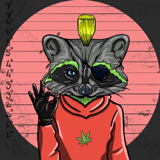 KCBC_NFT's tweet photo. 🎉NFTGiveaway 🎉

Killer Cat Bengal Club x Raccoons in Chain

1 WINS-Raccoons in Chain FREE NFT
10 WIN 1-Killer Cat Bengal Club WL spot
 
Rules: 📜
1️⃣Follow @KCBC_NFT &amp; @raccoonsinchain
2️⃣RT
3️⃣Tag 3 

48H ⏳
https://t.co/MPhA1i8A94

#NFT #NFTGiveaway #NFTCommunity #NFTs #nftart https://t.co/1ZDk9Xi39o