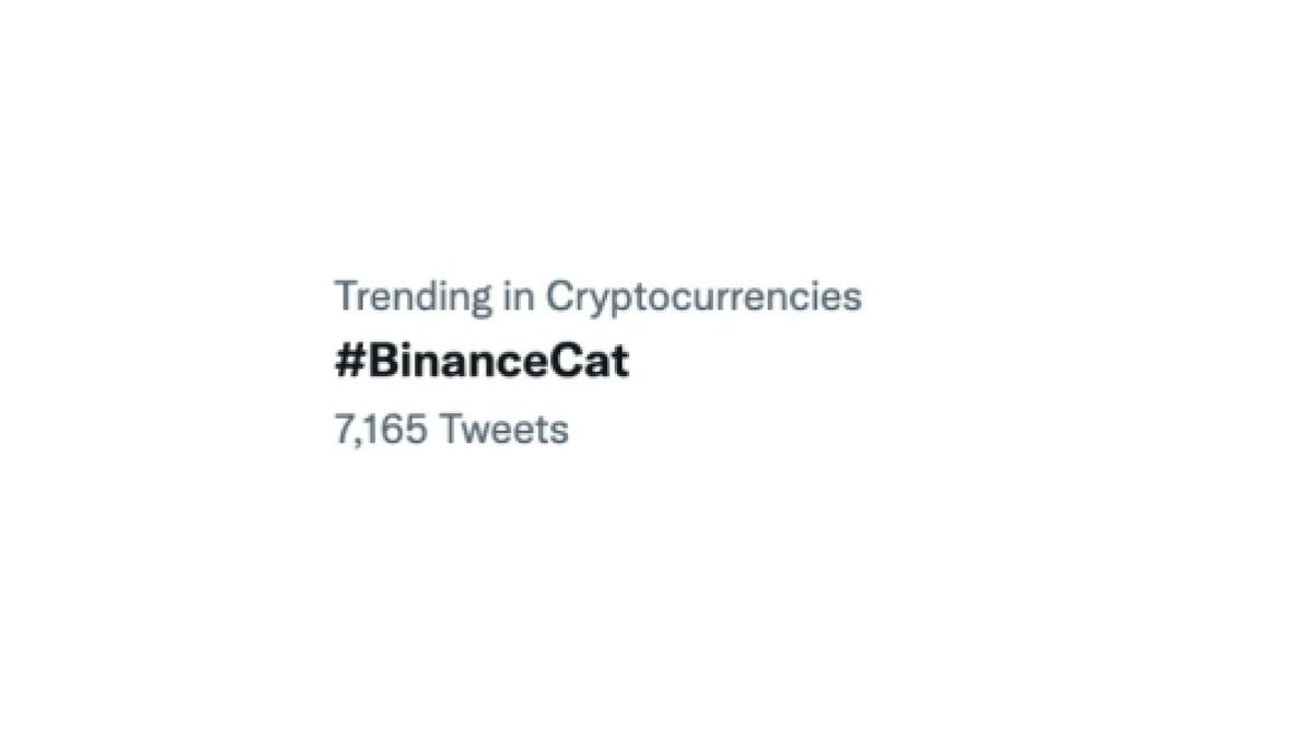 binance's tweet photo. #BinanceCat taking it by storm. https://t.co/6DSTYrAezQ