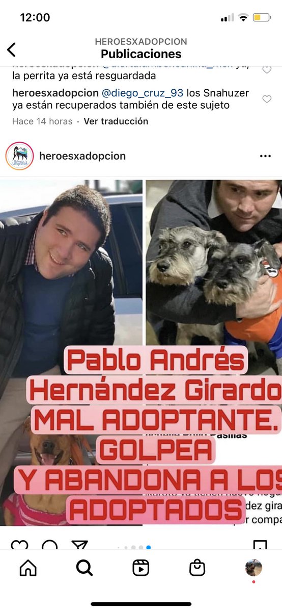 someonesmwhr28's tweet photo. RT por favor 🙏🏼 lo grabaron golpeando a una criollita que había adoptado #CDMX. Además que en 2021 adoptó a estos schnauzers de los que se desconoce su paradero. https://t.co/hJRhawTdbO