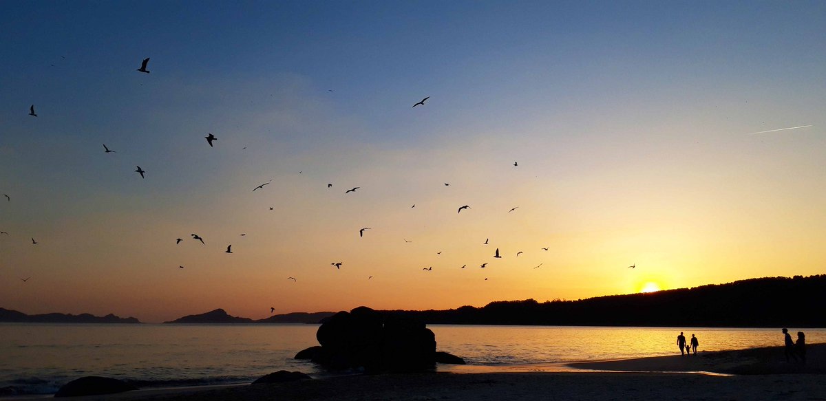 turisriasbaixas's tweet photo. 💙🧡 #LoveRíasBaixas 💙🧡

Espectacular solpor en #Nerga, no @ConcelloCangas.

#RíasBaixas #PontevedraProvincia https://t.co/8HVY8TgDhg