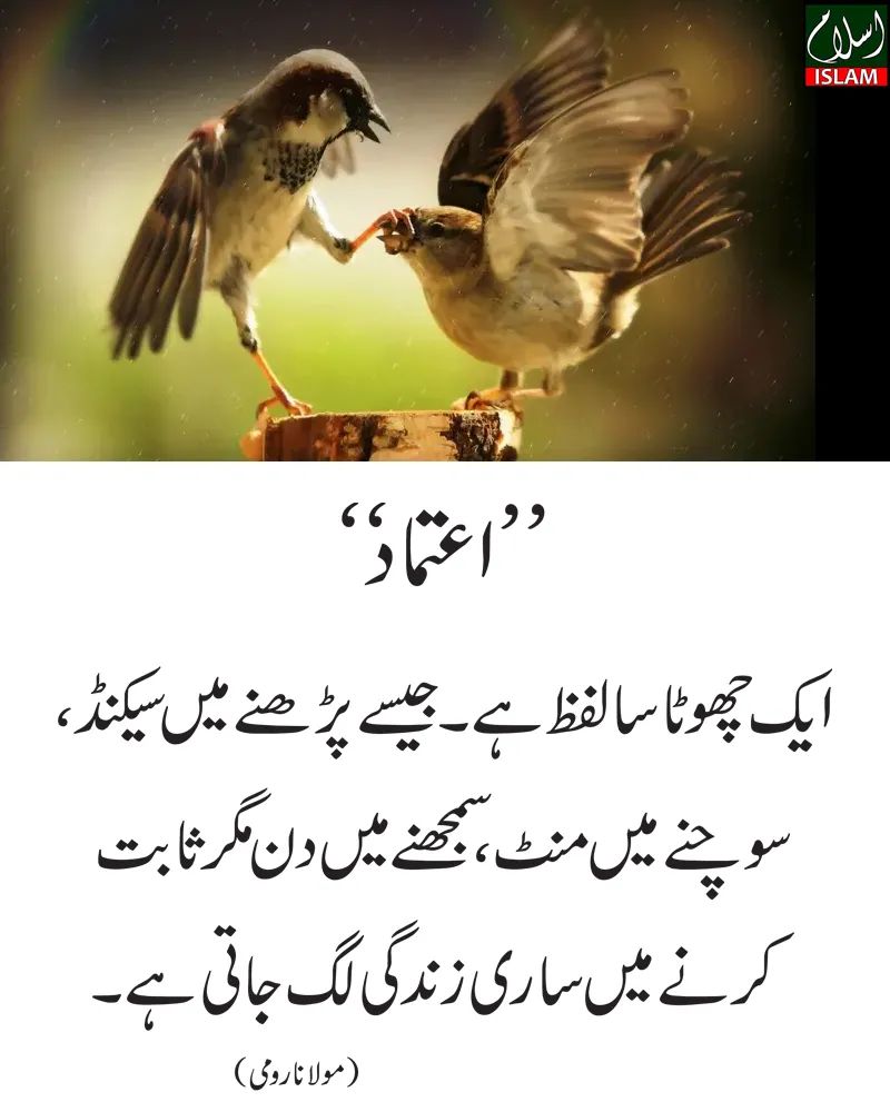 mrkashif255's tweet photo. @mnawaz94 https://t.co/kumg6Q2jty