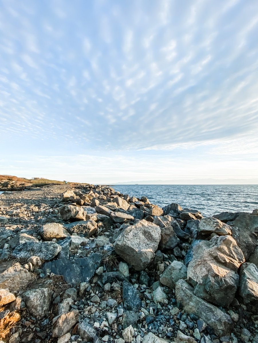 FirstIslandMIC's tweet image. For our most recent quarter-end of January 31, 2022 we are pleased to report interest @ 4.769% p.a.
We are accepting new funds during our upcoming share opening beginning February 16, 2022. Please contact our office to schedule the addition of your funds.