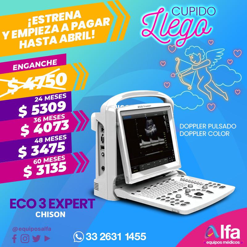 LATINZOO tweet media