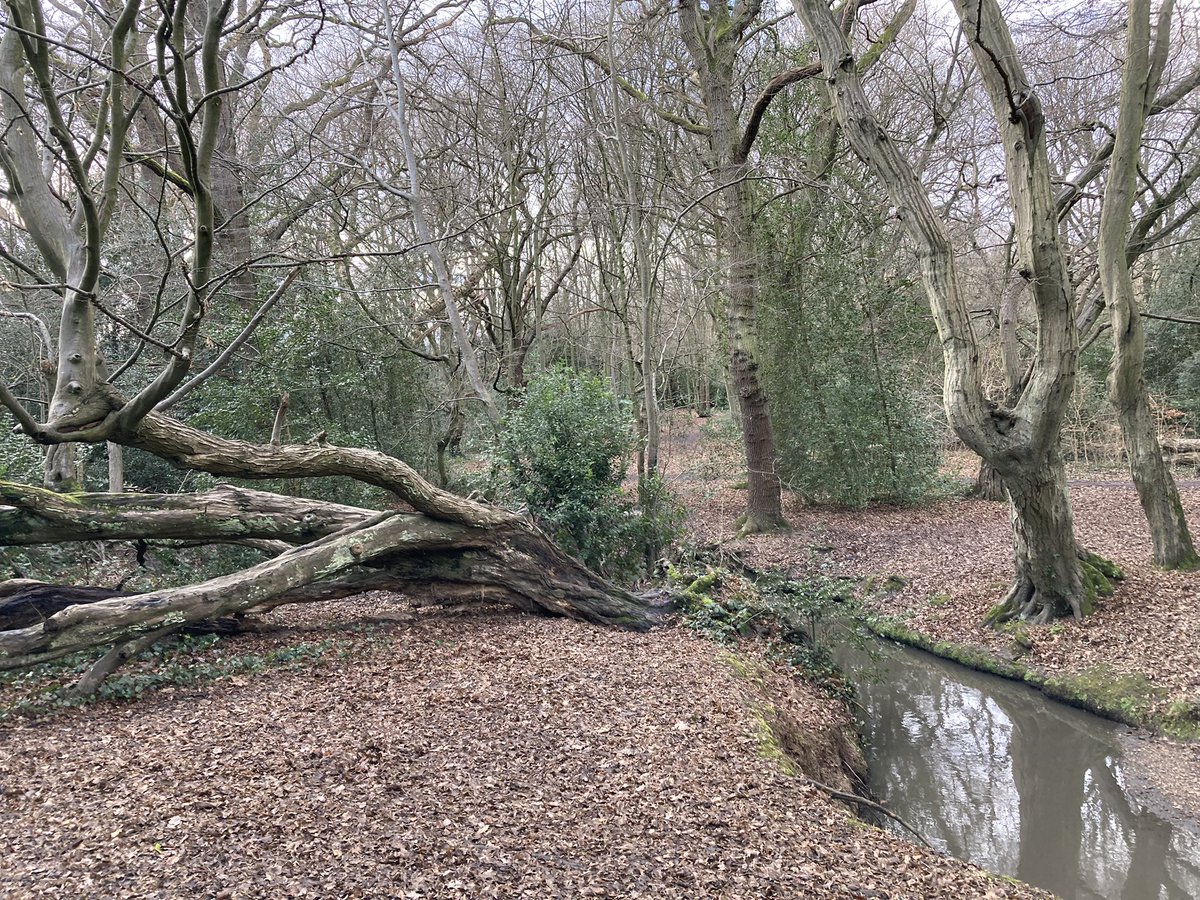 StonebridgeLock's tweet photo. 💚Great to meet with fellow #RiverChing action groups; Snedders, HPLitterpickers & @RewildTheChing,& Justin Sanders Environmental Initiatives/Arboricultural Manager @wfcouncil re #WFSpringClean 2022 of our wondrous, wild #WalthamForest rivers #LoveWhereYouLive #RiparianBorough https://t.co/jZLFKMzvT9