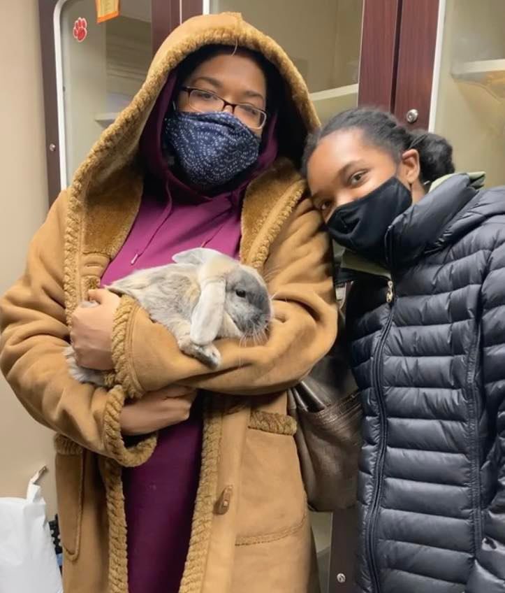 SCFA16's tweet image. The Franklin Township Animal Shelter has been temporary home to quite a few Holland Lop rabbits over the past few months. The great news is that ALL of them have been adopted!
#Happyday #grateful #foreverhome #AdoptDontShop #FridayFeeling #cute