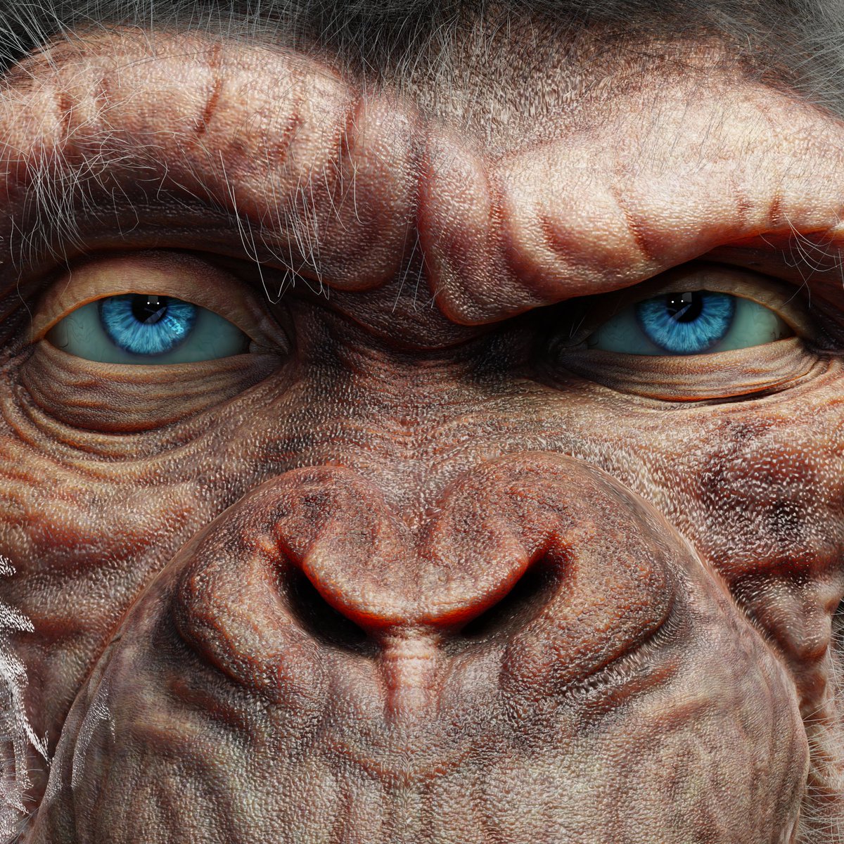 SmartBeast_nft's tweet photo. Discord is now live… but rules have changed. Now you have to find the link.

Clue n°1 “The Love for all living creatures is the most noble attribute of man”
Clue n°2 in the picture below 👁

See you on Discord! https://t.co/eBhKzIkEew