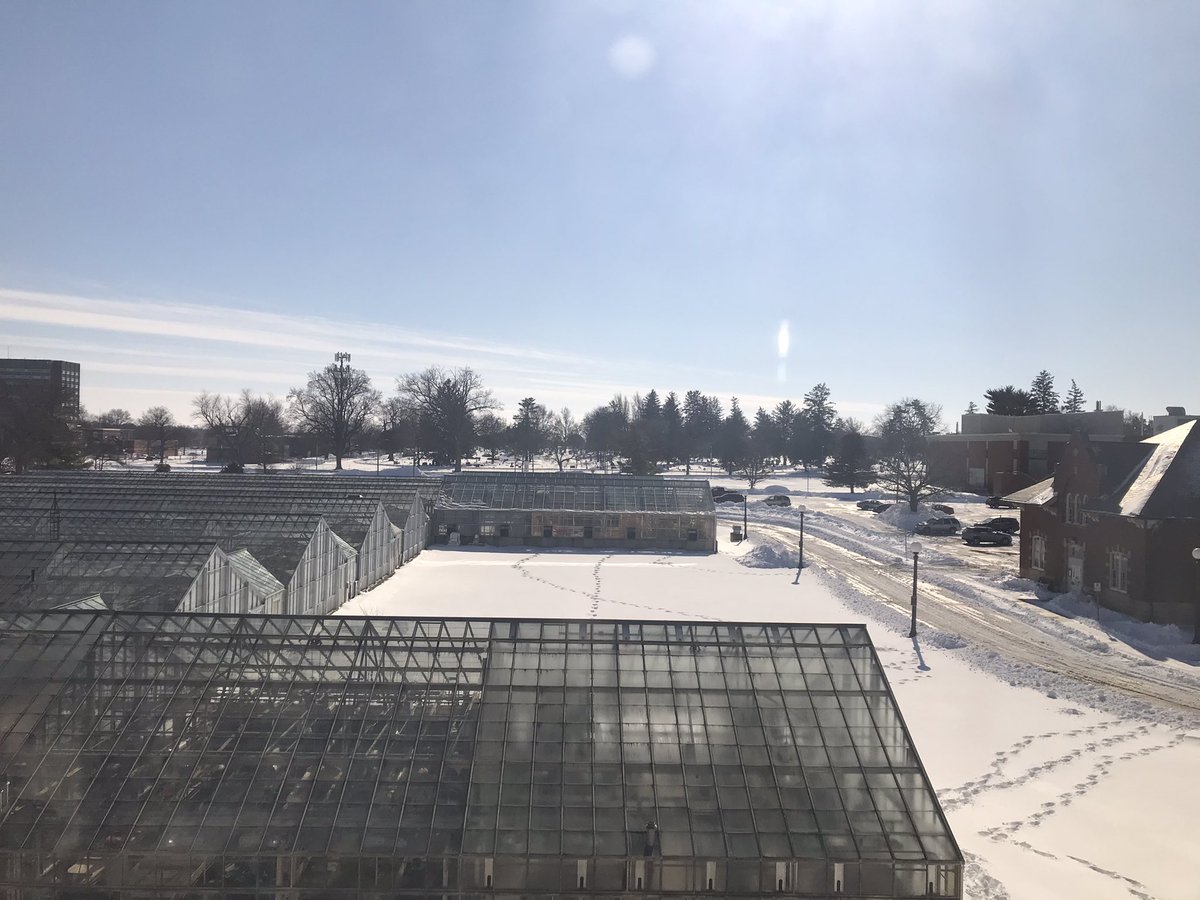 The view from my office today !!!!