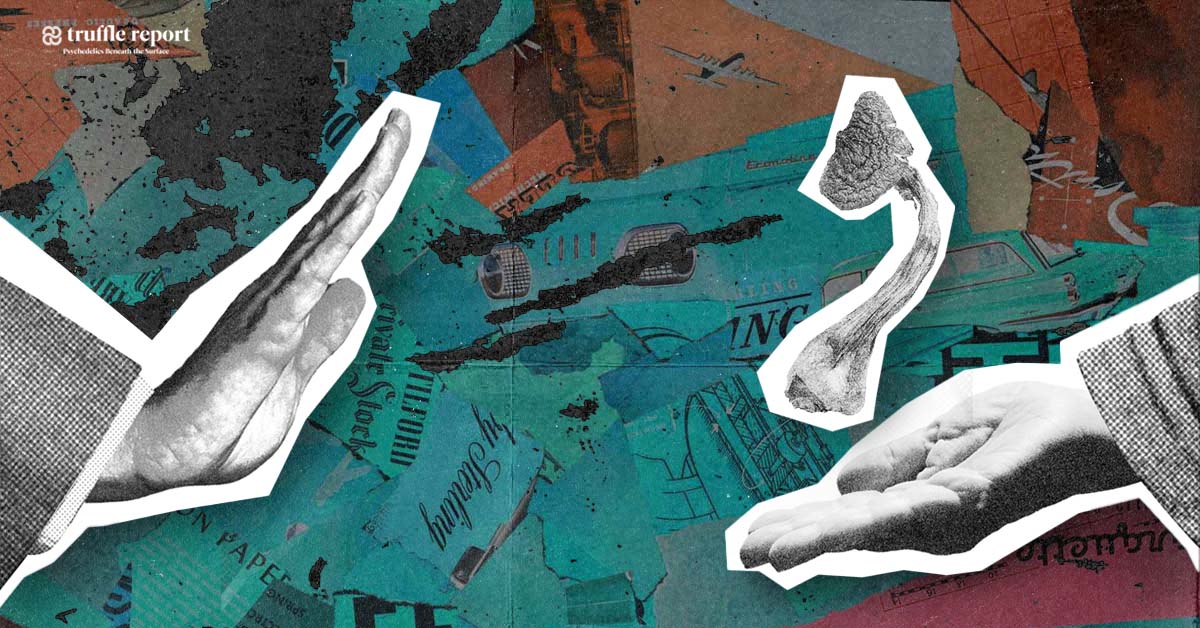 According to <a href="/TheraPsil/">TheraPsil</a>, healthcare professionals are being abruptly denied access to #psilocybin mushrooms for training purposes via Section 56 exemptions, following a decision by Canadian health authorities.

Full story here: ow.ly/h92M50HN4cY