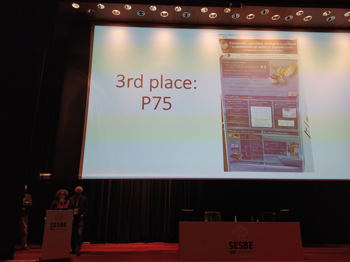 Third prize , Adara Velasco