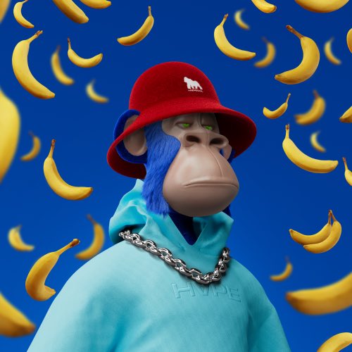 curvesign_eth's tweet image. 👋hi my hape🍌
@HAPEBEASTGANG 
#hape #hapegang