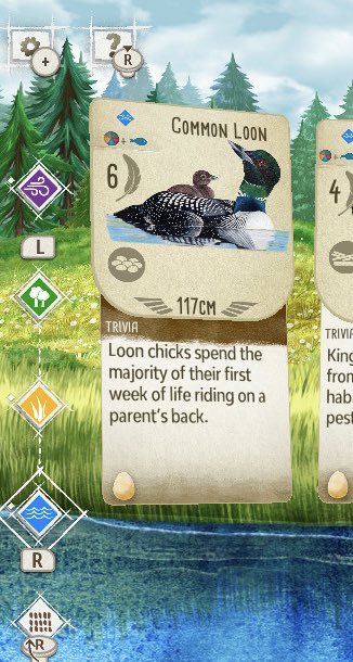 eliseliselise's tweet image. Nature is amazing