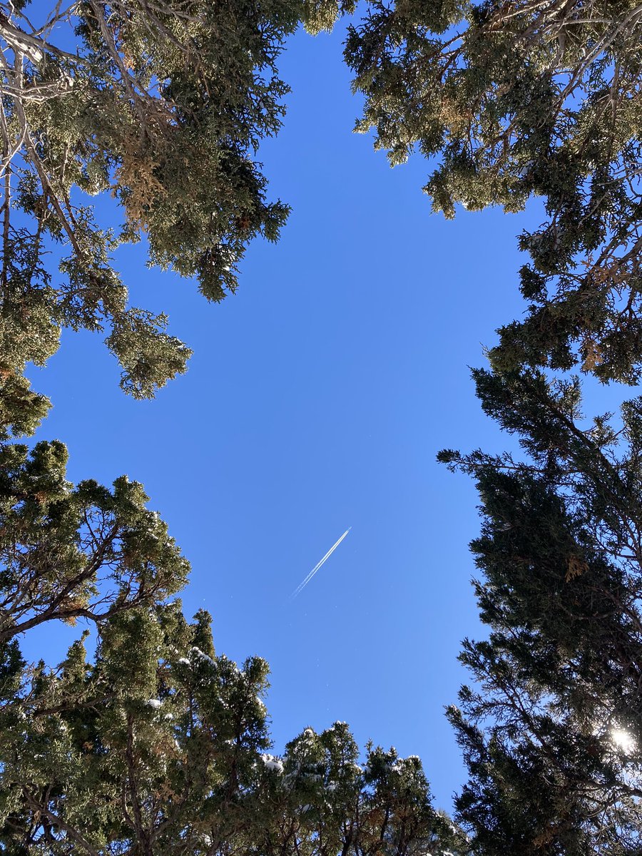 re_yichella's tweet photo. Kinda feeling like @BTS_twtโs person, wind, pride and love today.
Itโs been so long since I last made time to go on a long walk, listen to the tannies and catch some arrows. โ๏ธ๐น๐
#SkyForNamjoon #LikeanArrow https://t.co/D86mrIBHHX